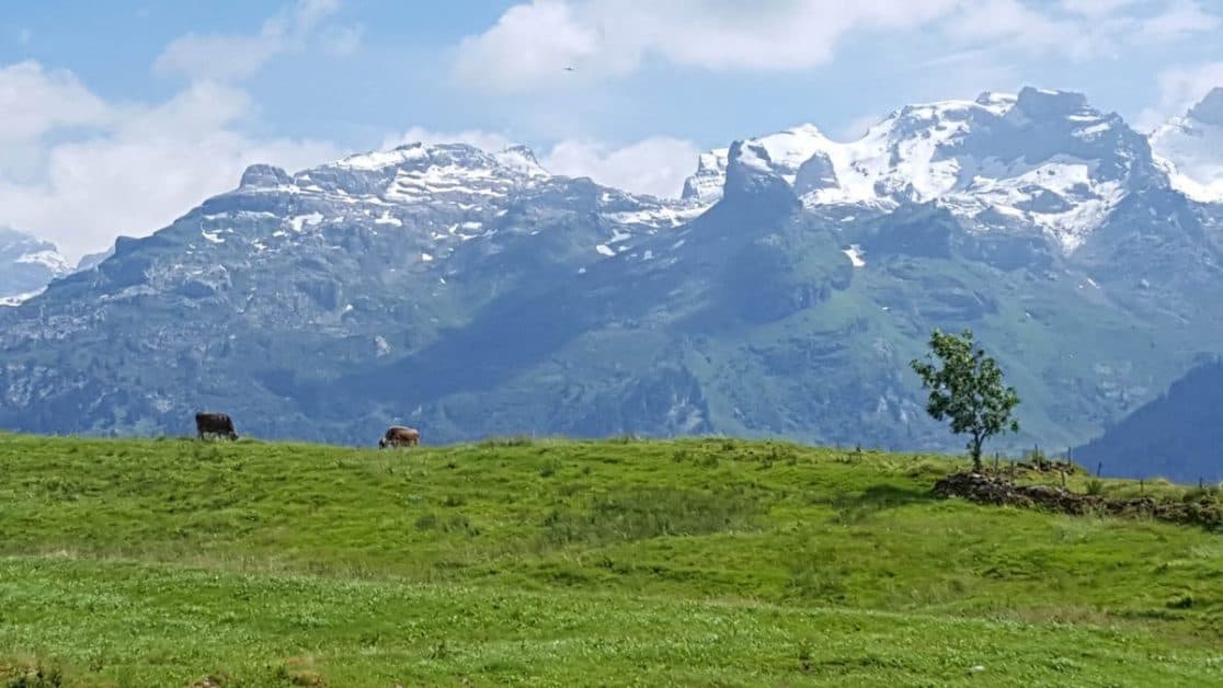 Travelling, hiking in Switzerland. Sveitsissä patikoimassa, maisema.